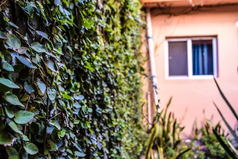 Econosuites Monterrey Exterior foto